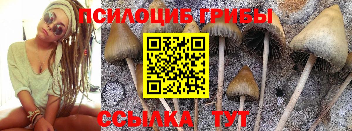 Лангепас  Галлюциногенные грибы мухоморы  Вход с VPN 